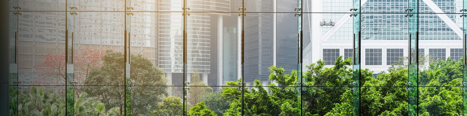 Glass facade of a modern commercial building